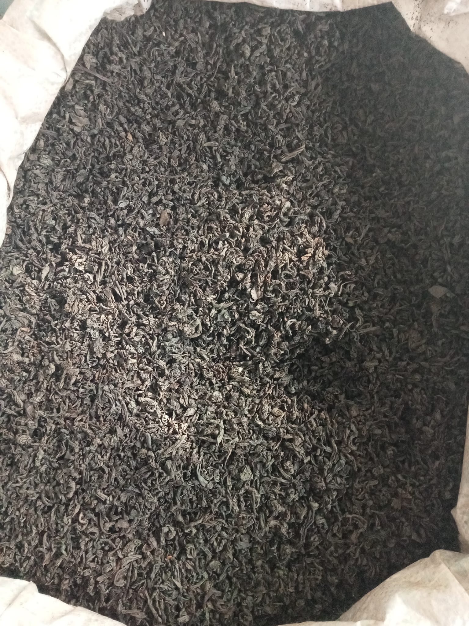 Dökme Barut Çay